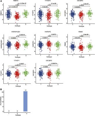 Integrative Analysis Reveals Potentially Functional N6-Methylandenosine-Related Long Noncoding RNAs in Colon Adenocarcinoma